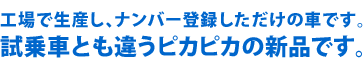 工場で生産し、ナンバー登録しただけの車です。